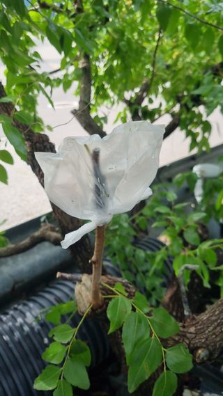 김용대님의 자유주제 · 자유게시판 작성글 사진