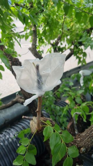 김용대님의 자유주제 · 자유게시판 작성글 사진