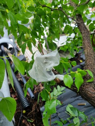 김용대님의 자유주제 · 자유게시판 작성글 사진