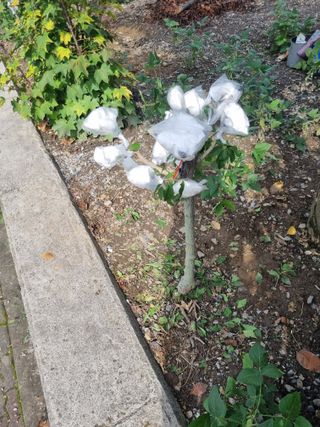 김용대님의 자유주제 · 자유게시판 작성글 사진