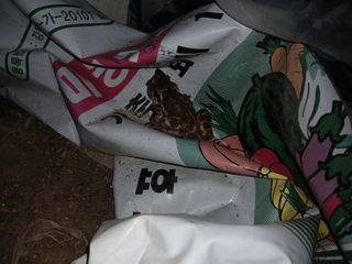 자기왕사랑해님의 자유주제 · 사진전 작성글 사진