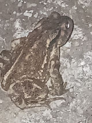 자기왕사랑해님의 자유주제 · 사진전 작성글 사진