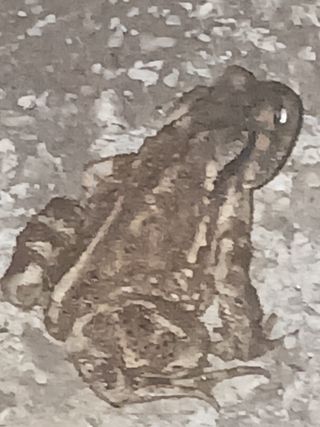 자기왕사랑해님의 자유주제 · 사진전 작성글 사진