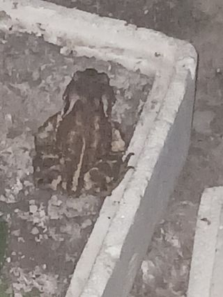 자기왕사랑해님의 자유주제 · 사진전 작성글 사진