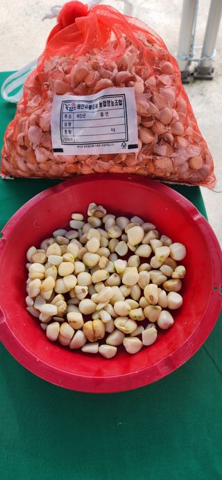 하은와송~♡♡♡~님의 자유주제 · 자유게시판 작성글 사진