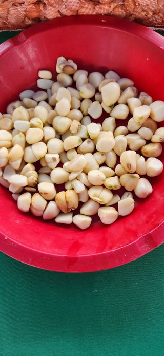 하은와송~♡♡♡~님의 자유주제 · 자유게시판 작성글 사진