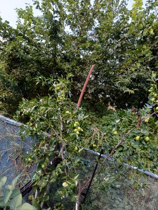 초보퍼머5도2촌준비님의 자유주제 · 자유게시판 작성글 사진