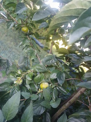 초보퍼머5도2촌준비님의 자유주제 · 자유게시판 작성글 사진