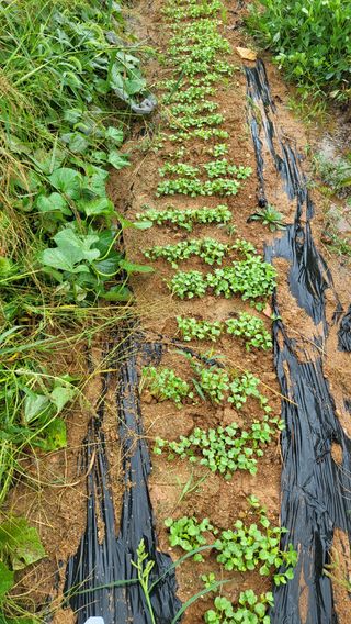장경화님의 자유주제 · 자유게시판 작성글 사진