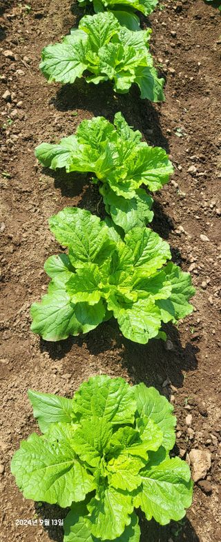 오이4915님의 자유주제 · 자유게시판 작성글 사진