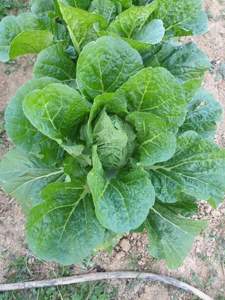 정봉원님의 자유주제 · 자유게시판 작성글 사진