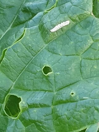 정봉원님의 자유주제 · 자유게시판 작성글 사진