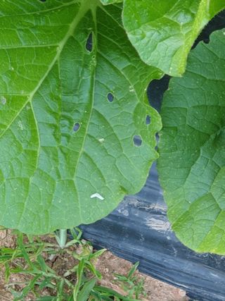 정봉원님의 자유주제 · 자유게시판 작성글 사진