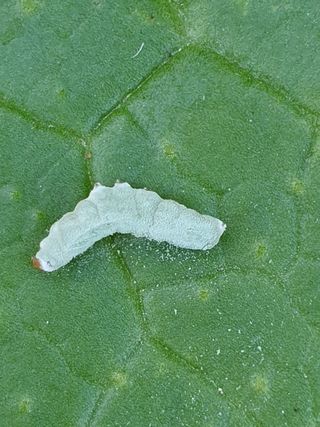 정봉원님의 자유주제 · 자유게시판 작성글 사진