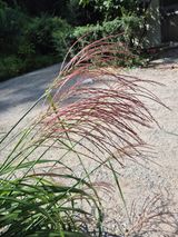 팜모닝 자유주제·자유게시판 게시글 이미지