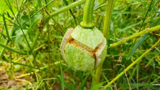 문해님의 자유주제 · 자유게시판 작성글 사진