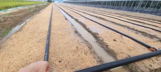 샤인머스마님의 자유주제 · 자유게시판 작성글 사진