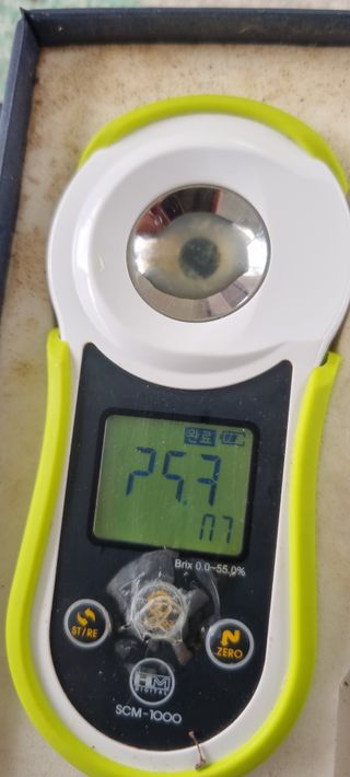 샤인머스마님의 자유주제 · 자유게시판 작성글 사진