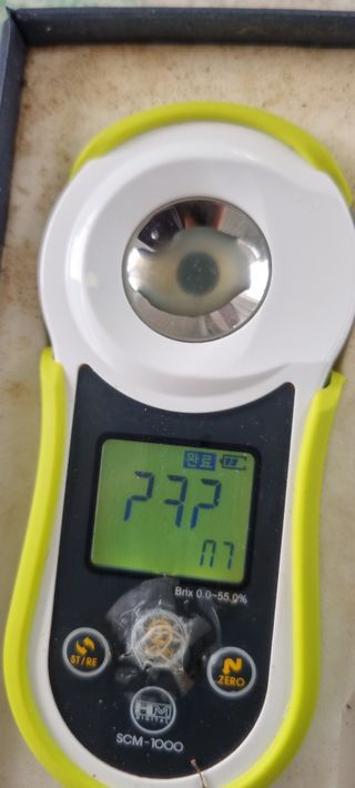 샤인머스마님의 자유주제 · 자유게시판 작성글 사진