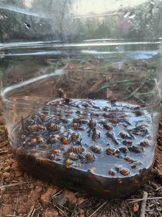 나종천님의 자유주제 · 자유게시판 작성글 사진