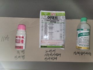 해찬들농원님의 기타작물 · 영농일지 작성글 사진