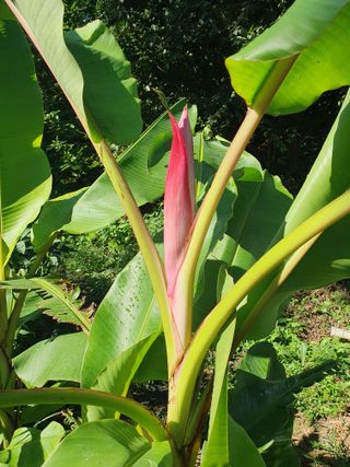 정봉원님의 자유주제 · 자유게시판 작성글 사진