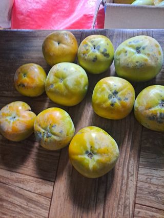 농촌사랑님의 자유주제 · 자유게시판 작성글 사진