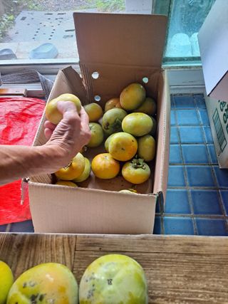 농촌사랑님의 자유주제 · 자유게시판 작성글 사진