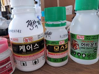 미스농부님의 포도 · 영농일지 작성글 사진