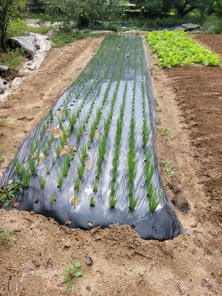 땅땅님의 기타작물 · 자유게시판 작성글 사진