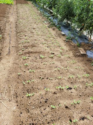 땅땅님의 기타작물 · 자유게시판 작성글 사진