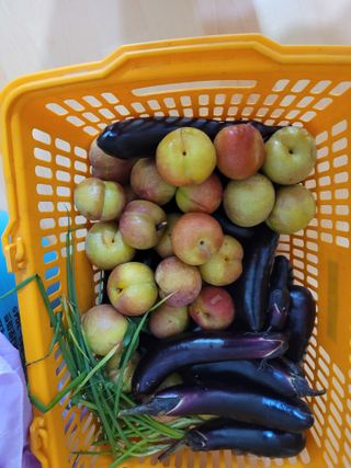 땅땅님의 기타작물 · 자유게시판 작성글 사진