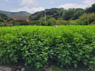 땅땅님의 기타작물 · 자유게시판 작성글 사진