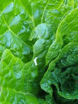 팜모닝 자유주제·자유게시판 게시글 이미지