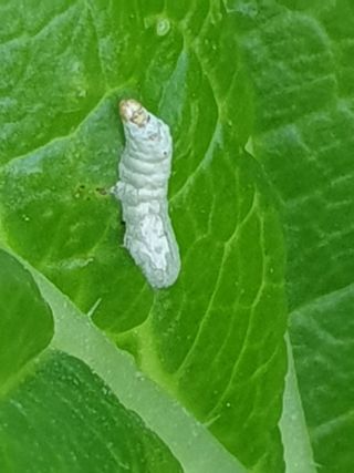 정봉원님의 자유주제 · 자유게시판 작성글 사진