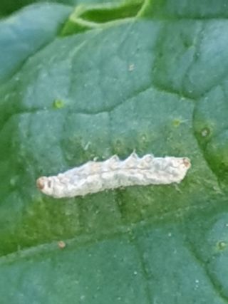 정봉원님의 자유주제 · 자유게시판 작성글 사진