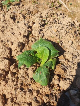 정봉원님의 자유주제 · 자유게시판 작성글 사진