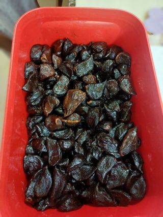 초보퍼머5도2촌준비님의 자유주제 · 자유게시판 작성글 사진