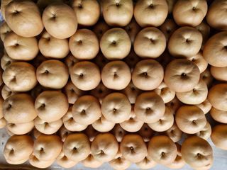 허재우님의 자유주제 · 사진전 작성글 사진