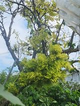 팜모닝 자유주제·자유게시판 게시글 이미지