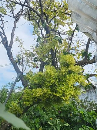 칠곡가산 최지훈님의 자유주제 · 자유게시판 작성글 사진