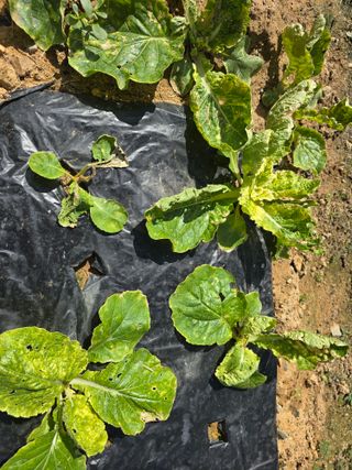 유길순님의 자유주제 · 자유게시판 작성글 사진