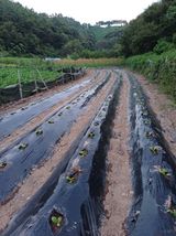 팜모닝 자유주제·자유게시판 게시글 이미지