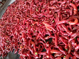 최남옥님의 자유주제 · 자유게시판 작성글 사진