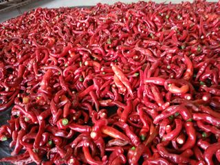 최남옥님의 자유주제 · 자유게시판 작성글 사진