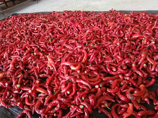 최남옥님의 자유주제 · 자유게시판 작성글 사진