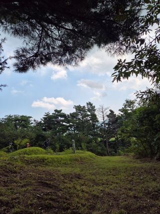 징금다리님의 자유주제 · 자유게시판 작성글 사진