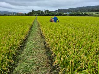 징금다리님의 자유주제 · 자유게시판 작성글 사진