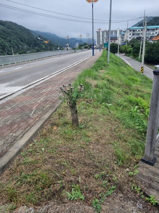 김용대님의 자유주제 · 자유게시판 작성글 사진