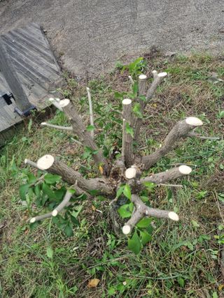 김용대님의 자유주제 · 자유게시판 작성글 사진